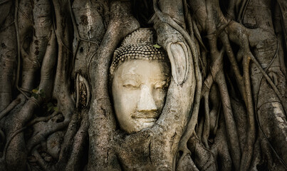 The famous Buddha head in ancient tree root in Ayutthaya Thailamd.