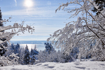 Deutschland, Baden-Württemberg, Bodensee, Überlingen am Bodensee, Winterlandschaft, Stadtpark, Blick auf den Bodensee