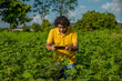 © Dip Photography - Young man farmer in a cotton farm talking or using mobile.