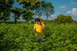 © Dip Photography - Young man farmer in a cotton farm talking or using mobile.