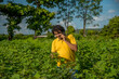 © Dip Photography - Young man farmer in a cotton farm talking or using mobile.
