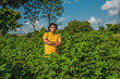 © Dip Photography - A young man farmer in a cotton farm examines and observing the field.