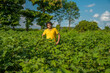 © Dip Photography - A young man farmer in a cotton farm examines and observing the field.