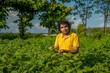 © Dip Photography - A young man farmer in a cotton farm examines and observing the field.