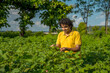 © Dip Photography - A young man farmer in a cotton farm examines and observing the field.