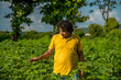 © Dip Photography - A young man farmer in a cotton farm examines and observing the field.