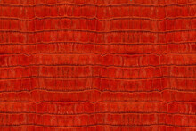 Vibrant Red Crocodile Leather Texture High Resolution