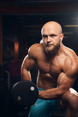 Wall Mural - Handsome athlete working out with dumbbells at the gym