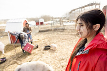 Teenage Girl Tending To Pigs With Family On Farm