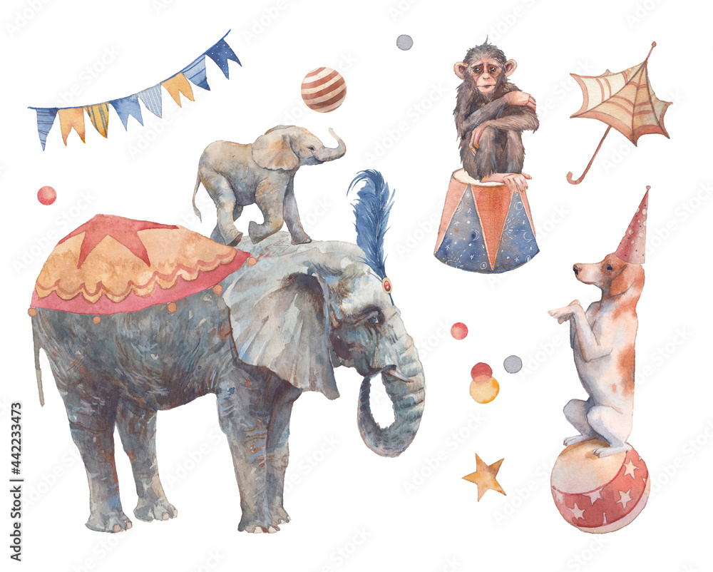 Watercolor circus set. Hand drawn illustrations: trained dog and monkey ...