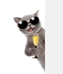 Poster - Happy cat  wearing sunglasses holds glass of champagne and looks from behind empty white banner. isolated on white background