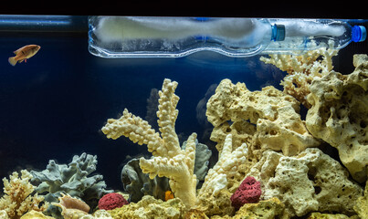 Canvas Print - Plastic bottles with ice in domestic aquarium. Home water conditioner for fish tank.