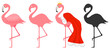 Flamingos, set of pink flamingos, black silhouette of flamingos. Vector, cartoon illustration. Vector.