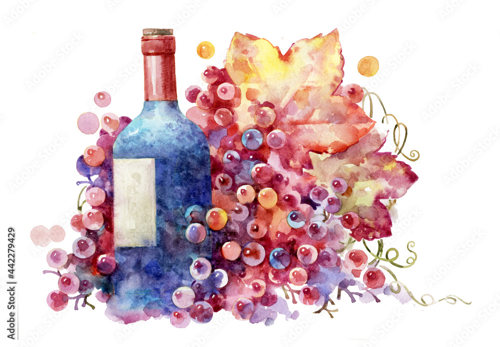 Wine in a bottle and a bunch of grapes. Wine and grapes painted in watercolor. A bottle of blue glass and colorful grapes.