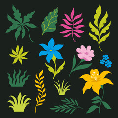 Wall Mural - Set of tropical leaves. Vector Collection of leaves, flowers  and branches on black background