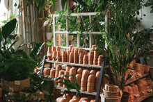 Image Of Ceramics Pots On The Shelves And Green Exotic Plants In The Flower Shop