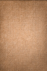 Canvas Print - Brown paper background