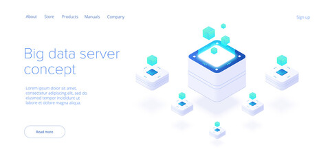 Wall Mural - big data technology in isometric vector illustration. information storage and analysis system. digit
