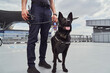Airport security worker with detection dog standing at aerodrome