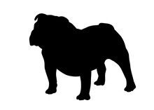 British Bulldog Dog Silhouette, Vector Illustration Silhouette Of A Dog On A White Background.
