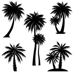 Collection of silhouettes of Coconut trees Icon. Can be used to illustrate any nature or healthy lifestyle topic.