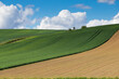 © ctvvelve - meadows with blue sky and clouds background