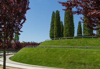 A hill with serpentine-type pedestrian paths with green lawn on slopes and thujas at top in public city park Krasnodar or 'Galitsky park'. Spring sunny day. Nature concept for natural design.