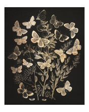 Butterflies And Moths Fluttering Over Flowers Vintage Illustration Wall Art Print And Poster Design Remix From Original Artwork.