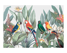 Colorful Macaws On A Tropical Background Vintage Illustration