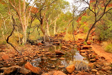 Wall Mural - Kings Canyon in central Australia