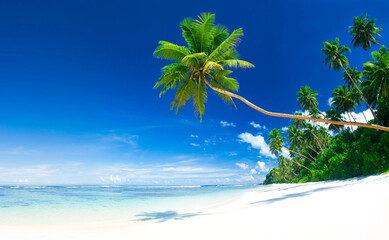 Wall Mural - Tropical beach on Samoa