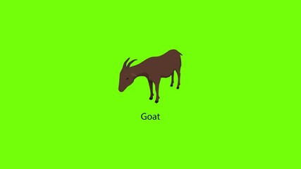 Sticker - Goat icon animation