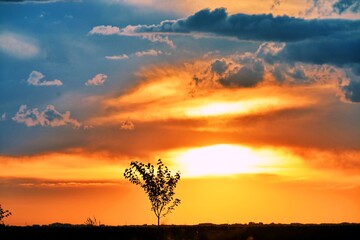 Sunset over the field in rural area.