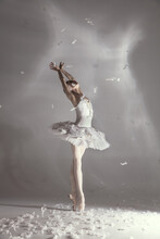 Young Graceful Balerina In Image Of White Swan In Art Performance Isolated On Gray White Background.