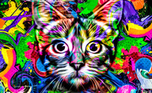Close Up Of Colorful Background Whith Cat