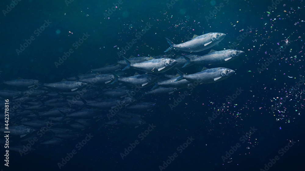 shoal of herrings between plastic pollution, microplastic particles in ocean water - obrazy, fototapety, plakaty 