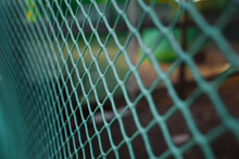 The Green Fence Net Is Taken Close By. Mesh Texture