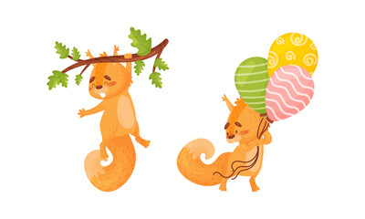 Wall Mural - Fluffy Squirrel Character Holding Bunch of Balloons and Hanging on Tree Branch Vector Set