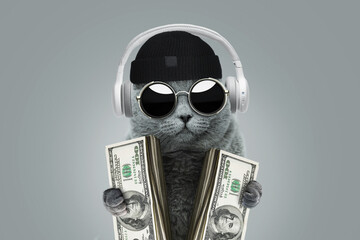 Funny rich boss cat with solar protection glasses, a hat and headphones is holding cash money dollars. Business and investment concept idea. Winning at a casino