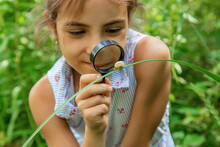 The Child Looks At The Snail Through A Magnifying Glass. Selective Focus.