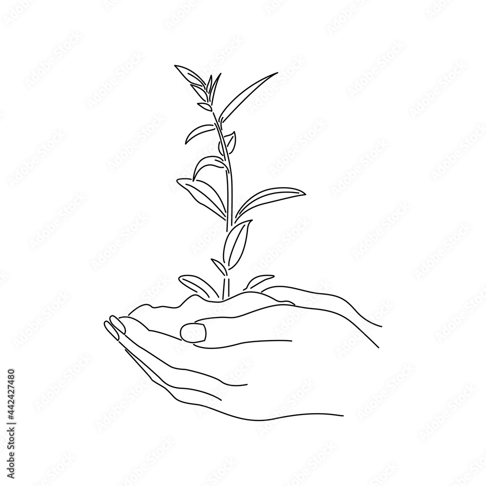 Kobiece dłonie trzymające młodą roślinę, sadzonkę. Mistyczny symbol dla kosmetyków naturalnych, eko produktów, spa, ziołolecznictwa, biżuterii, wzór na tatuaż, kartki ślubne. Ilustracja wektorowa. - obrazy, fototapety, plakaty 