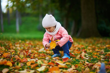 Adorable Toddler Girl Sitting On The Ground And Gathering Fallen Leaves In Autumn Park