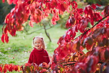 Wall Mural - Adorable toddler girl playing in autumn park