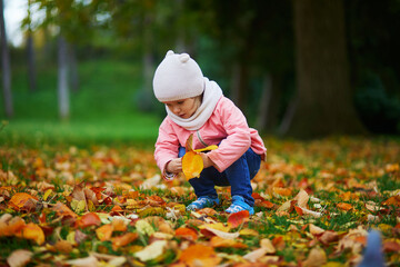 Adorable toddler girl sitting on the ground and gathering fallen leaves in autumn park