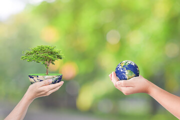 Canvas Print - hands holding earth globe and tree over sky nature background. saving world ecology concept