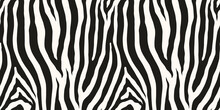Zebra Monochrome Seamless Pattern. Vector Animal Skin Print. Fashion Stylish Organic Texture.