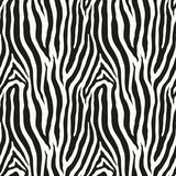 Fototapeta Konie - Zebra monochrome seamless pattern. Vector animal skin print. Fashion stylish organic texture.