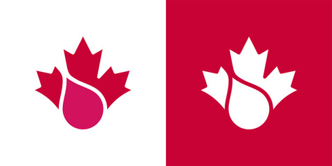 Wall Mural - maple leaf logo. canada leaves vector icon. water drop symbol illustration.