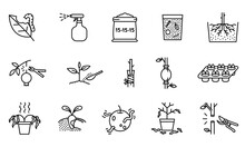 Collection Of Agricultural Icons. Plant Propagation Symbols And Problems. Simple Design With Black Lines On White Background.