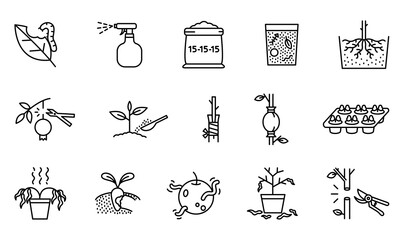 Wall Mural - Collection of agricultural icons. Plant propagation symbols and problems. Simple design with black lines on white background.